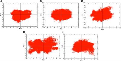 Evaluating the Spike–hACE2 interactions in the wild type and variants of concern of SARS -CoV-2 at different temperatures